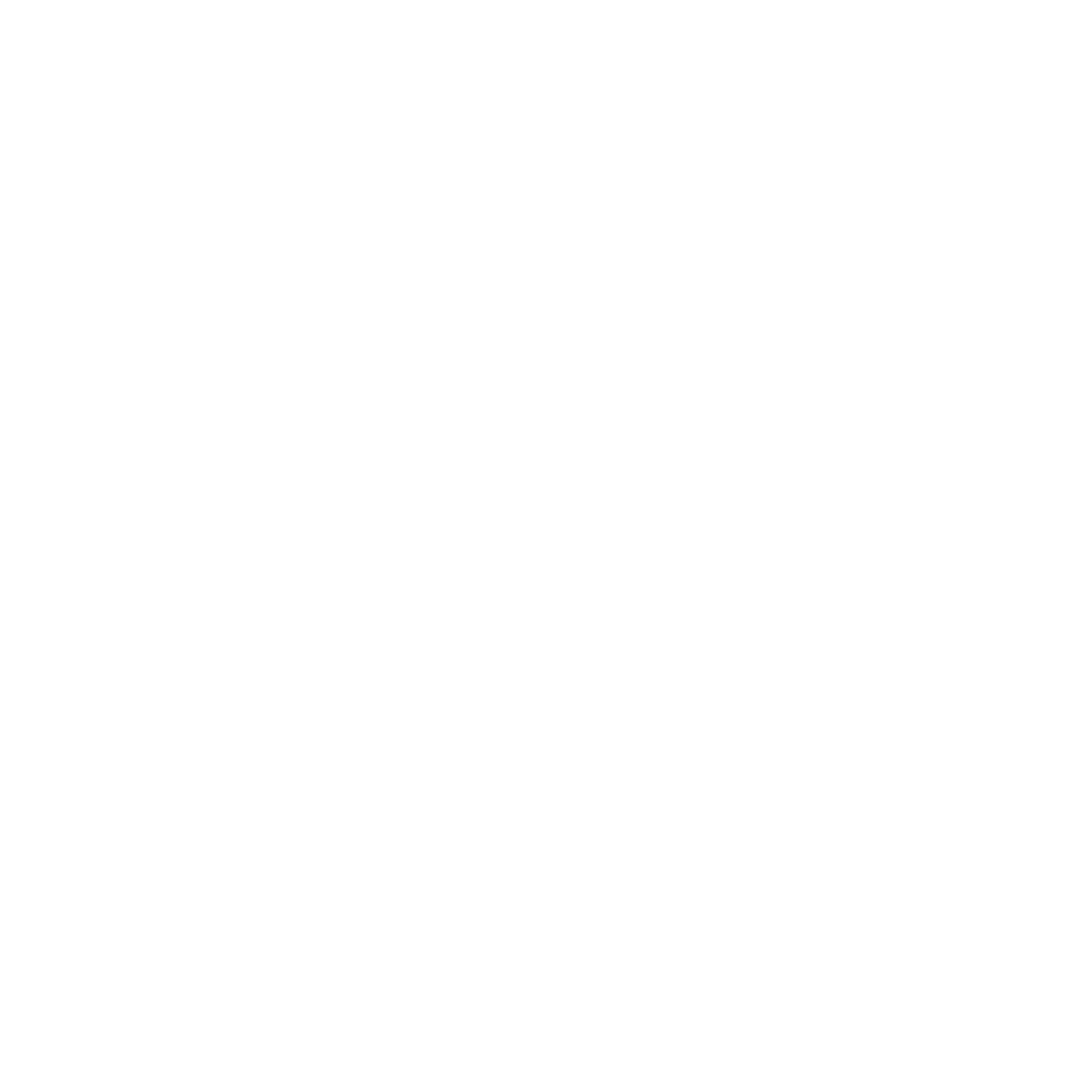 Seven Overseas Investment Ltd